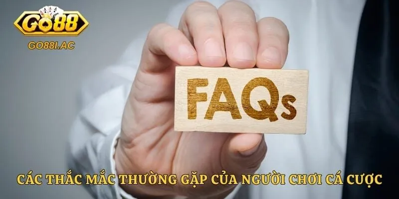 Các thắc mắc thường gặp của người chơi cá cược