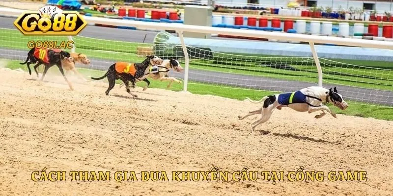 Đua Chó - Bí Quyết Đặt Cược Hiệu Quả Tại Sân Chơi Năm 2026 4 Cách tham gia đua khuyển cẩu tại cổng game