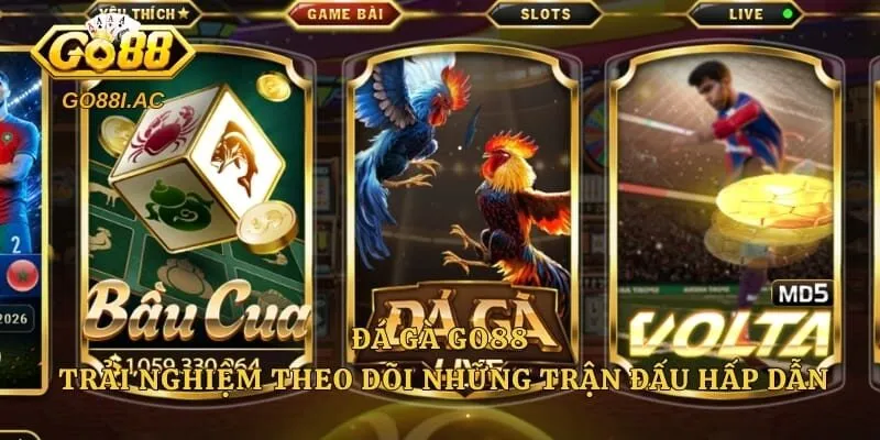 Đá Gà Go88 – Trải Nghiệm Theo Dõi Những Trận Đấu Hấp Dẫn 1 Đá Gà Go88 – Trải Nghiệm Theo Dõi Những Trận Đấu Hấp Dẫn