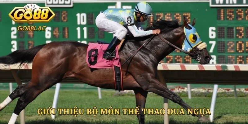 Giới thiệu bộ môn thể thao đua ngựa