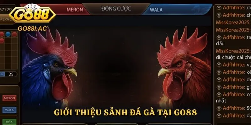 Đá Gà Go88 – Trải Nghiệm Theo Dõi Những Trận Đấu Hấp Dẫn 2 Giới thiệu sảnh đá gà