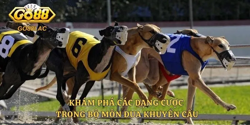 Đua Chó - Bí Quyết Đặt Cược Hiệu Quả Tại Sân Chơi Năm 2026 3 Khám phá các dạng cược trong bộ môn đua khuyển cẩu