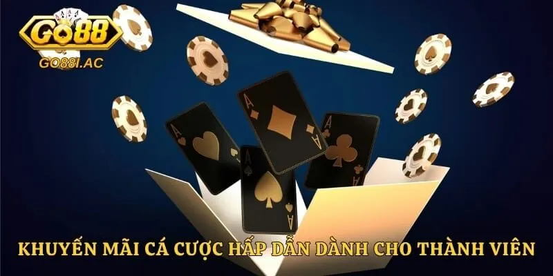 Khuyến mãi cá cược hấp dẫn dành cho thành viên
