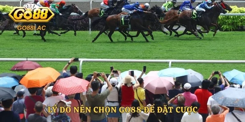 Lý do nên chọn Go88 để đặt cược