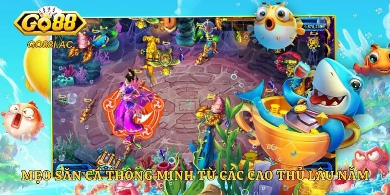 Bắn Cá TP - Cơn Lốc Giải Trí Càn Quét Mọi Bảng Xếp Hạng 6 Mẹo săn cá thông minh từ các cao thủ lâu năm