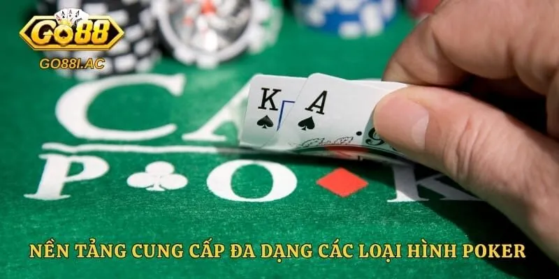 Nền tảng cung cấp đa dạng các loại hình poker hấp dẫn