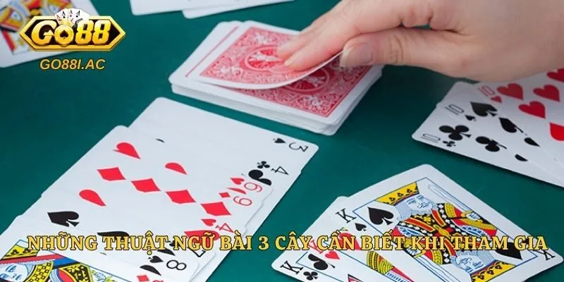 Những thuật ngữ bài 3 cây cần biết khi tham gia