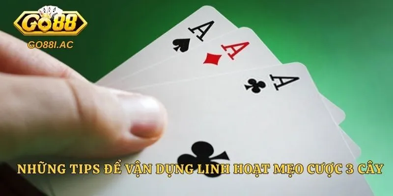 Những tips để vận dụng linh hoạt mẹo cược 3 cây