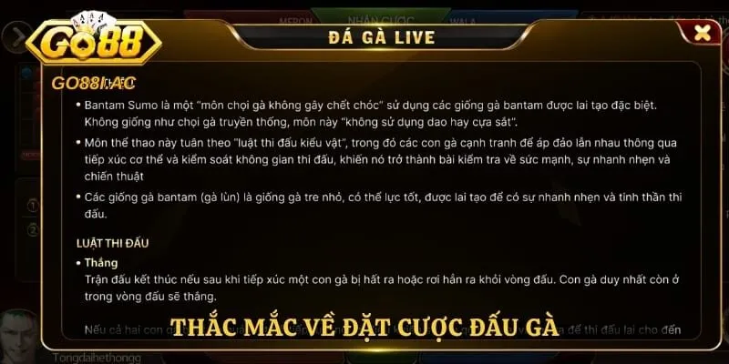 Đá Gà Go88 – Trải Nghiệm Theo Dõi Những Trận Đấu Hấp Dẫn 6 Thắc mắc về đặt cược thường gặp