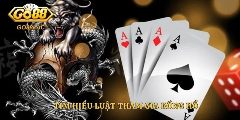 Tìm hiểu luật tham gia rồng hổ
