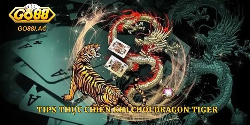 Tips thực chiến khi chơi Dragon Tiger