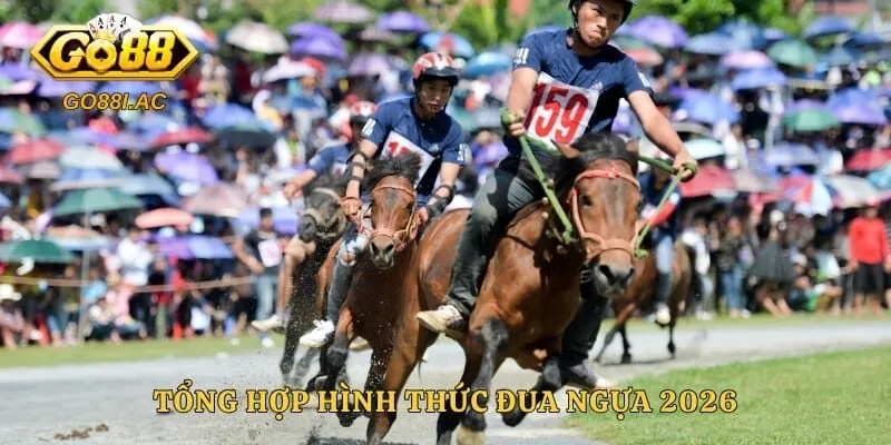 Tổng hợp hình thức đua ngựa 2026