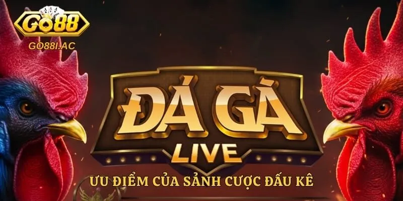 Đá Gà Go88 – Trải Nghiệm Theo Dõi Những Trận Đấu Hấp Dẫn 3 Ưu điểm của sảnh cược